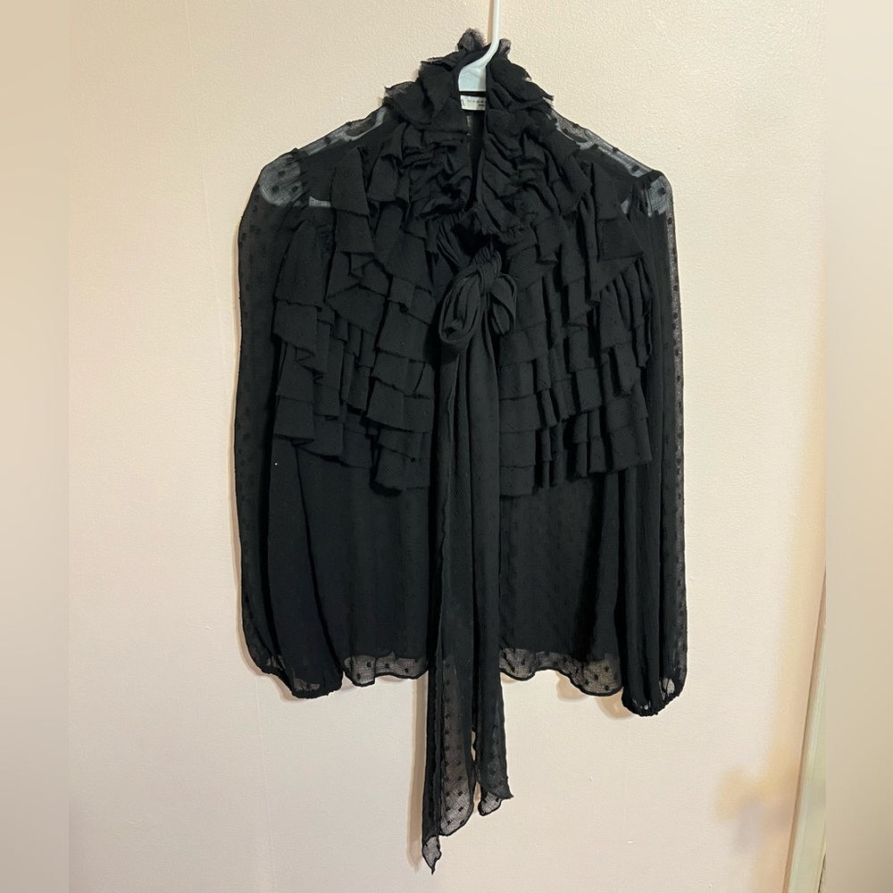 Zara Bow Tie Long Sleeve Blouse